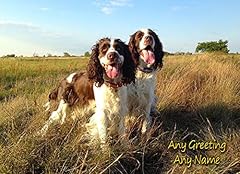Personalised springer spaniel for sale  Delivered anywhere in UK