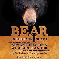 Bear back seat for sale  Delivered anywhere in USA 