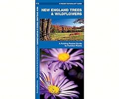 Waterford new england for sale  Delivered anywhere in USA 