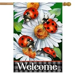 Ladybugs daisies summer for sale  Delivered anywhere in USA 