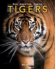 Tigers amazing pictures for sale  Delivered anywhere in UK