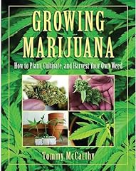 Growing marijuana plant for sale  Delivered anywhere in USA 