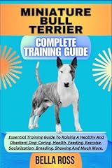 Miniature bull terrier for sale  Delivered anywhere in USA 