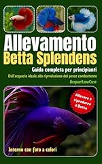 Allevamento betta splendens usato  Spedito ovunque in Italia 