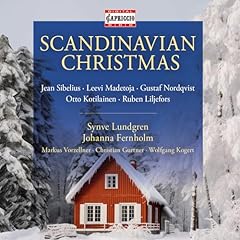 Scandinavian christmas d'occasion  Livré partout en France