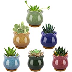 Used, Lewondr Succulent Plant Pots, 3.5 Inch 6 Pack Ice Crack for sale  Delivered anywhere in UK