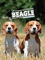 Beagle d'occasion  Livré partout en Belgiqu