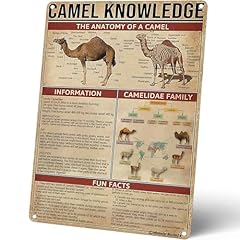 Homely accents educational for sale  Delivered anywhere in USA 