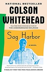 Sag harbor novel for sale  Delivered anywhere in USA 