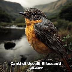 Canti uccelli rilassanti usato  Spedito ovunque in Italia 