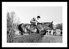 Framed arkle 1965 for sale  Delivered anywhere in Ireland