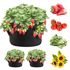 Ipower strawberry grow for sale  Delivered anywhere in USA 