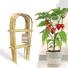 Avalution pack bamboo for sale  Delivered anywhere in USA 