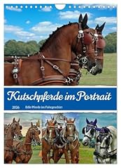 Kutschpferde portait calvendo gebraucht kaufen  Wird an jeden Ort in Deutschland
