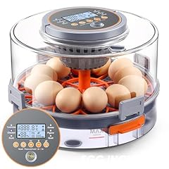 Chicken egg incubator for sale  Delivered anywhere in USA 