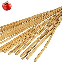 Vialca canne bamboo usato  Spedito ovunque in Italia 