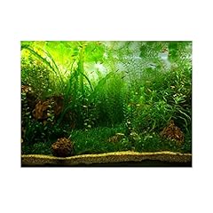 Hztyyier aquarium hintergrundp gebraucht kaufen  Wird an jeden Ort in Deutschland