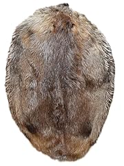 Beaver pelt tanned for sale  Delivered anywhere in USA 