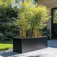 1.2m 75cm 70cm for sale  Delivered anywhere in UK