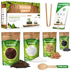 Kit terrarium plante d'occasion  Livré partout en France