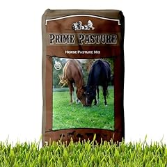 Outsidepride horse choice for sale  Delivered anywhere in USA 