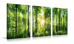 Sunrise forest canvas for sale  Delivered anywhere in USA 