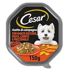 Cesar ricette campagna usato  Spedito ovunque in Italia 