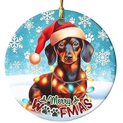 Sportyzen cute dachshund for sale  Delivered anywhere in USA 