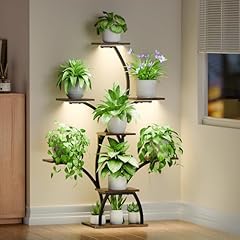 Codace plant stand for sale  Delivered anywhere in USA 