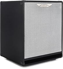 Ashdown 112t evo usato  Spedito ovunque in Italia 