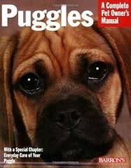Puggles for sale  Delivered anywhere in UK