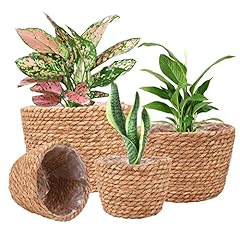 Ufrount seagrass planter for sale  Delivered anywhere in USA 