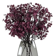 Maoodoo babys breath for sale  Delivered anywhere in USA 