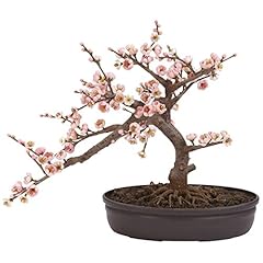Nearly natural cherry for sale  Delivered anywhere in USA 