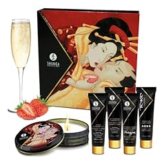 Shunga kit secret d'occasion  Livré partout en France