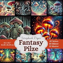 Magische welten fantasy gebraucht kaufen  Wird an jeden Ort in Deutschland