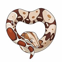 Red tail boa for sale  Delivered anywhere in USA 