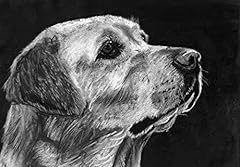 Labrador dog wall for sale  Delivered anywhere in USA 