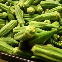 Okra clemsons spineless for sale  Delivered anywhere in UK