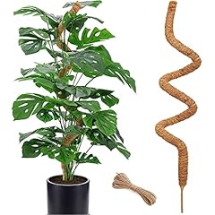 Inch moss pole for sale  Delivered anywhere in USA 