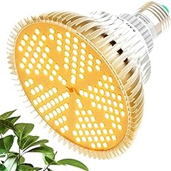 Milyn lampada per usato  Spedito ovunque in Italia 