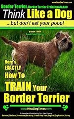 Border terrier border for sale  Delivered anywhere in UK