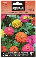 Zinnia liliput gebraucht kaufen  Wird an jeden Ort in Deutschland
