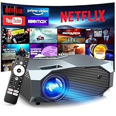 Netflix officially high for sale  Delivered anywhere in USA 