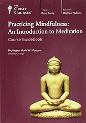 Practicing mindfulness introdu for sale  Delivered anywhere in USA 