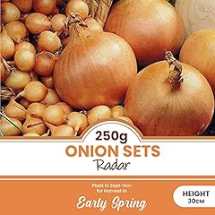 Schone 250 grams for sale  Delivered anywhere in UK