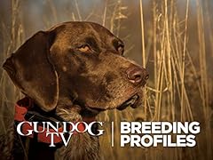 Gun dog breed for sale  Delivered anywhere in USA 