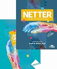 Netter atlante anatomia usato  Spedito ovunque in Italia 
