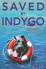 Saved indygo part for sale  Delivered anywhere in USA 