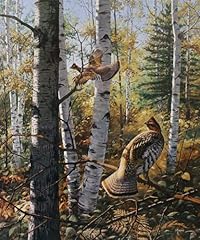 David maass wildlife for sale  Delivered anywhere in USA 